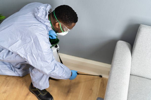 Best Real Estate Pest Inspections  in Patton Village, TX